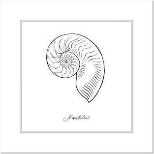 Nautilus Tiger Shell. Black and white illustration. Posters and Art